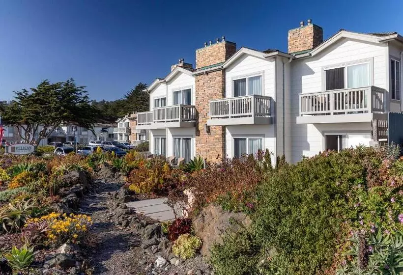 酒店 Pelican Inn & Suites