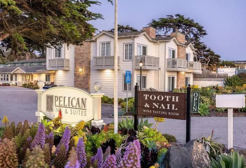 酒店 Pelican Inn & Suites