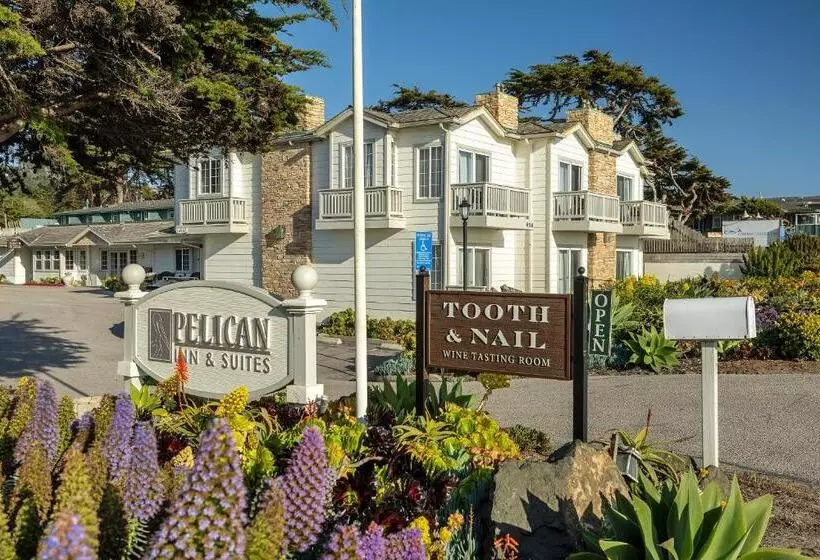 酒店 Pelican Inn & Suites
