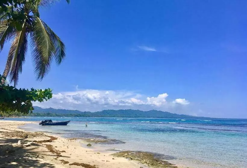 Aamiaismajoitus (B&B) Faith Glamping Dome Costa Rica