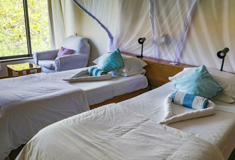 تختخواب و صبحانه Flamboyant Diani Beach