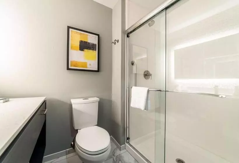 Everglades Adventures Hotel Suites By Ivey House