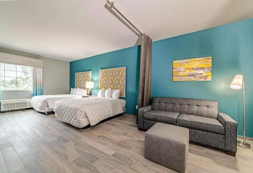 Everglades Adventures Hotel Suites By Ivey House