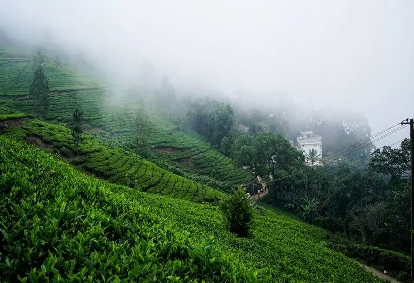 Hotel Lime Light Resort Munnar