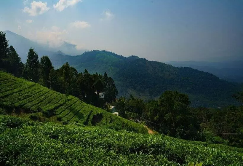Hotel Lime Light Resort Munnar