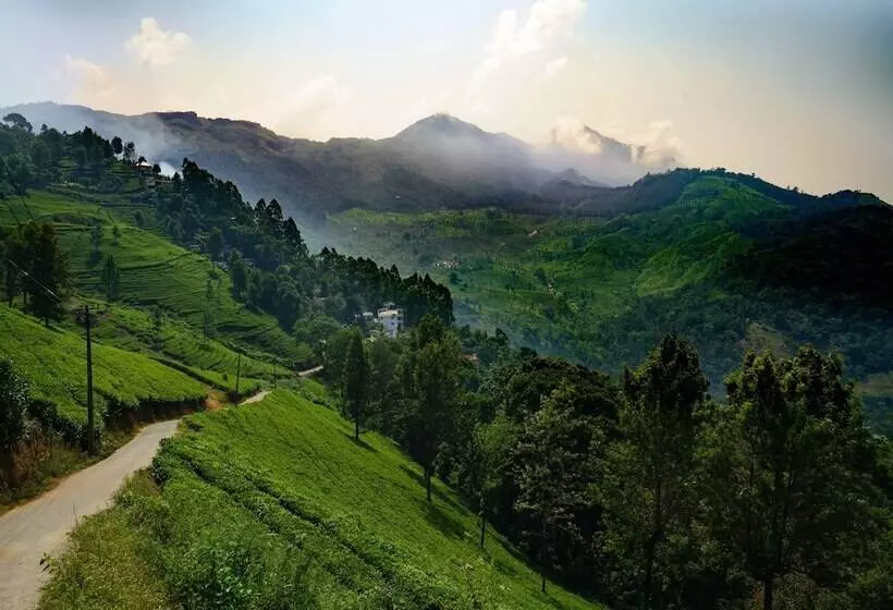 Hotel Lime Light Resort Munnar
