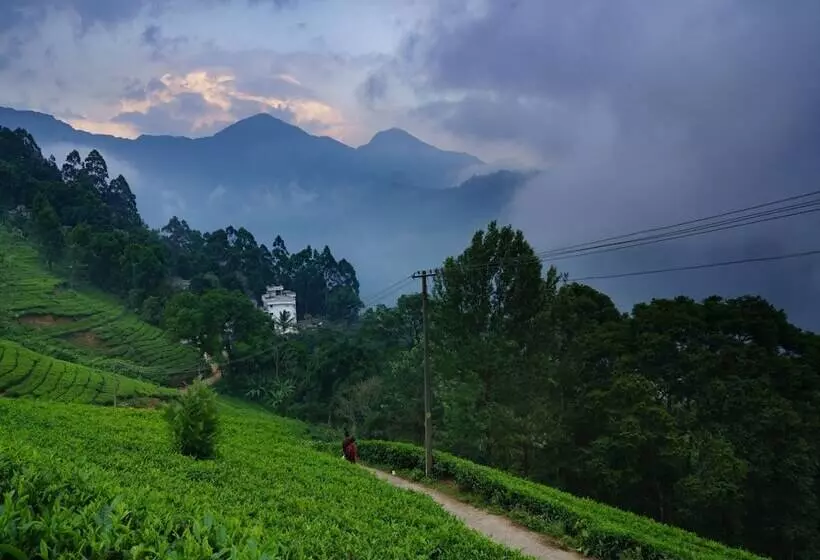 Hotel Lime Light Resort Munnar