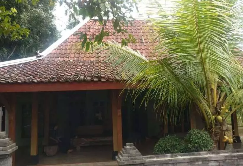 Retkeilymaja Dista Homestay