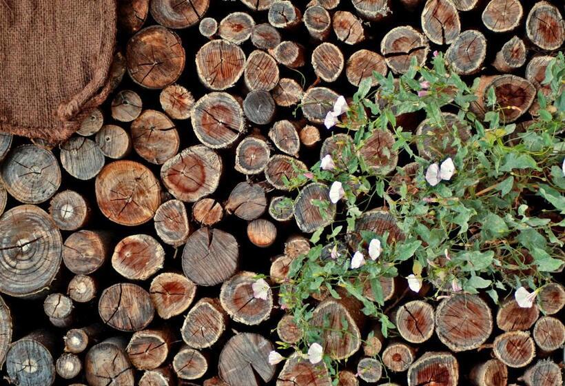 B&b La Masseria Del 700