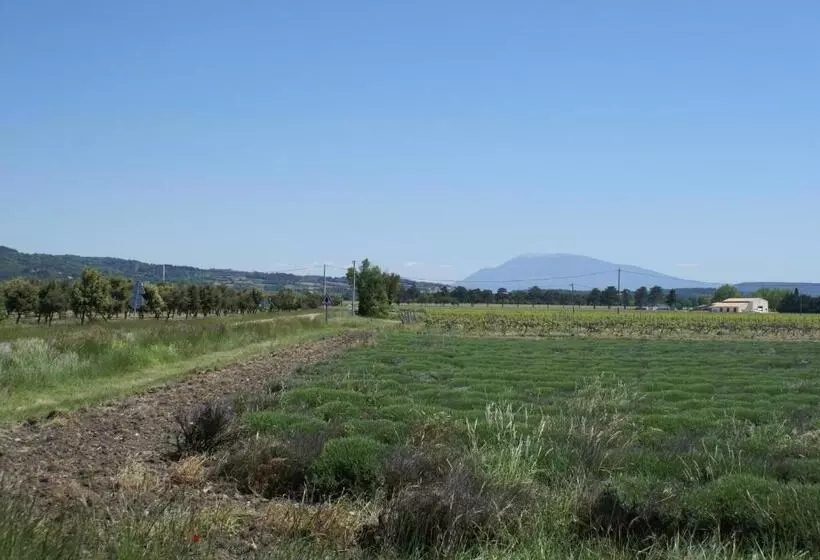 Aamiaismajoitus (B&B) Le Moulin De Montségur