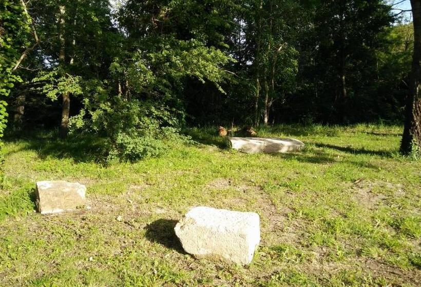 Bed and Breakfast Le Moulin De Montségur