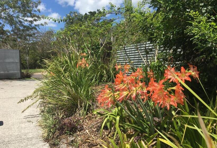 Eumundi Guesthouse And B&b