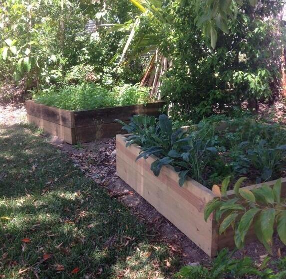 Eumundi Guesthouse And B&b