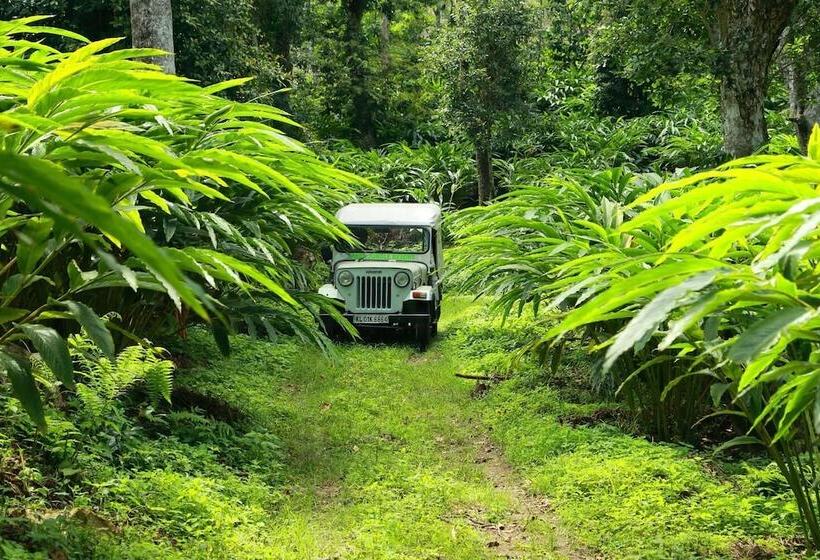 בית מלון כפרי Hillon Resorts