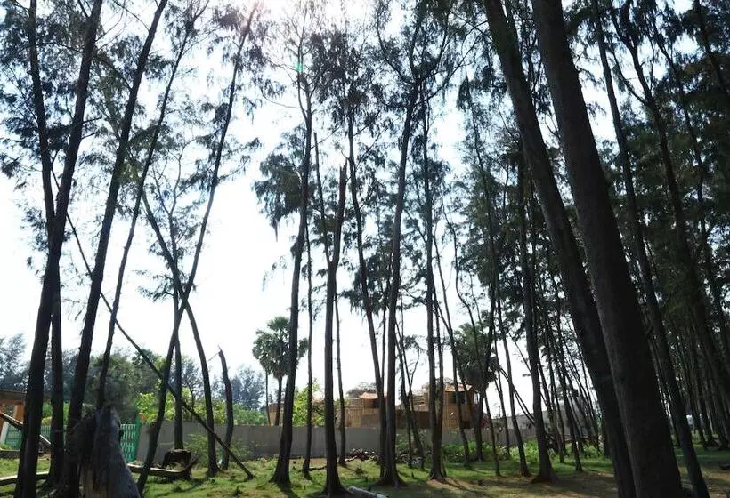 Kushi Beach Resort