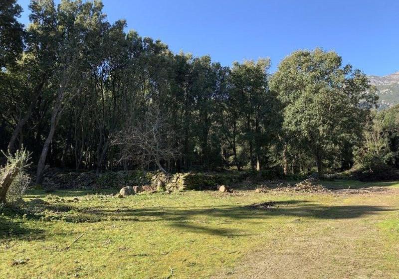 膳宿费 Chambres D'hotes U Licetu