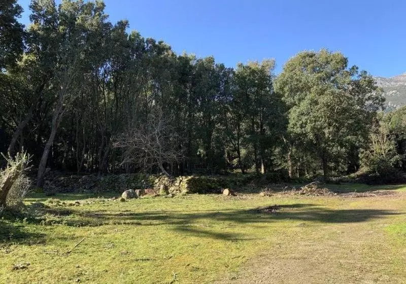 Majatalo Chambres D'hotes U Licetu