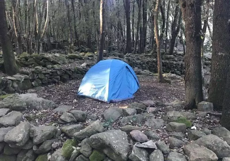 Majatalo Chambres D'hotes U Licetu