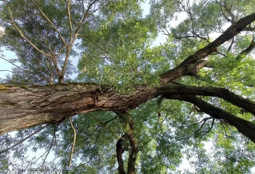 ペンション Penzion Poslední Míle