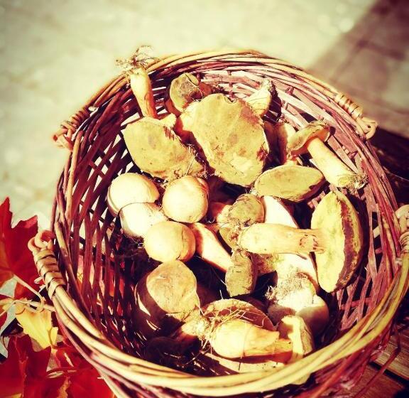 بنسيون Penzion Poslední Míle