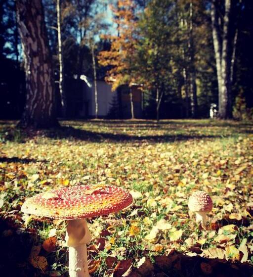 بنسيون Penzion Poslední Míle