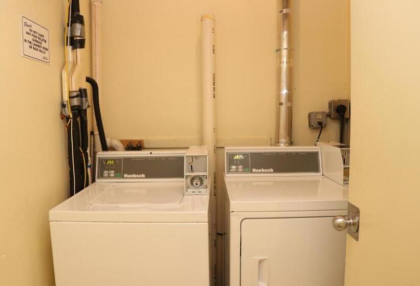 Stylish Downtown Studio In The Southend, C.ave #43