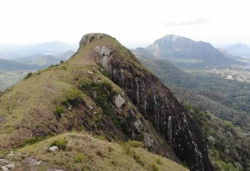 Hotelli Arangala Forest Lodge