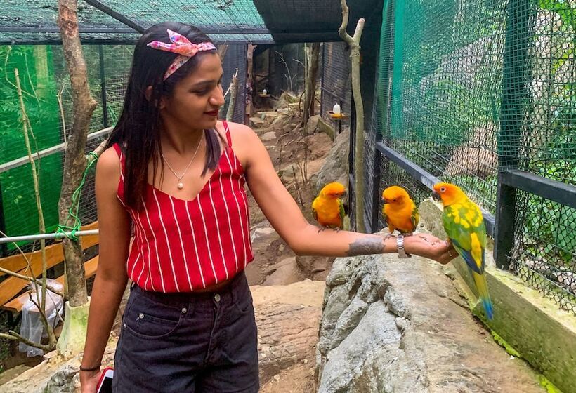 בית מלון כפרי Arangala Forest Lodge