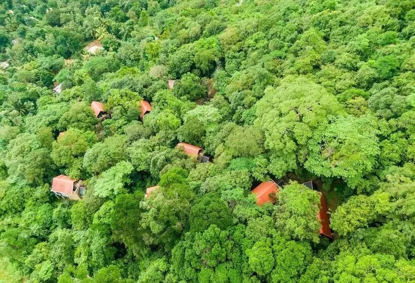 Hotelli Arangala Forest Lodge