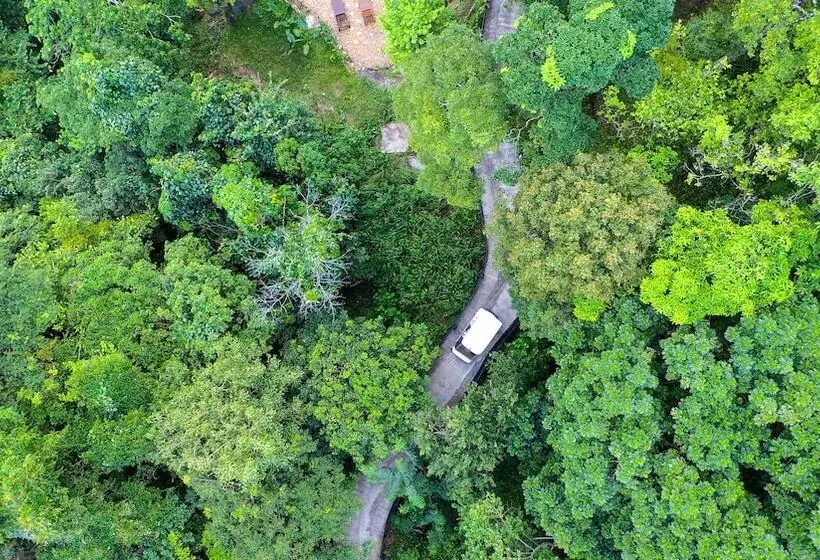 Hotelli Arangala Forest Lodge