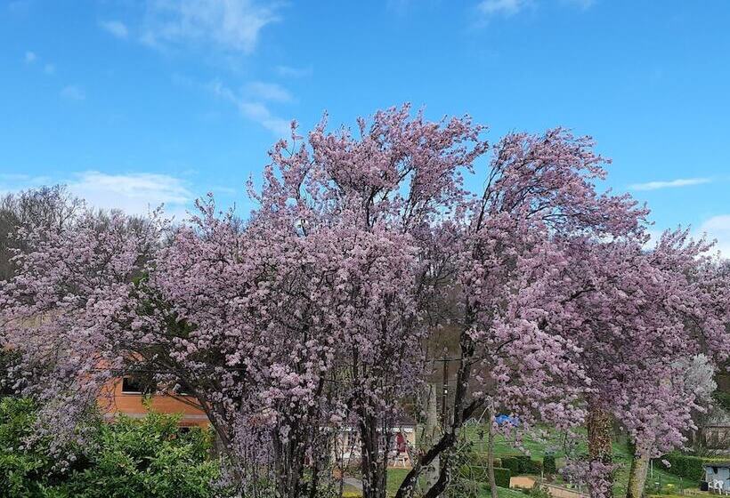 호텔 Camping Le Plan D Eau Saint Charles