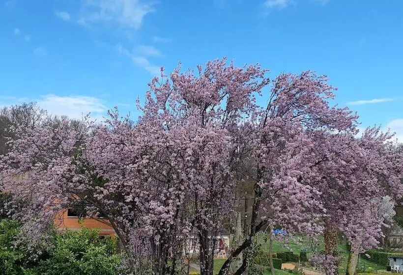 ホテル Camping Le Plan D Eau Saint Charles