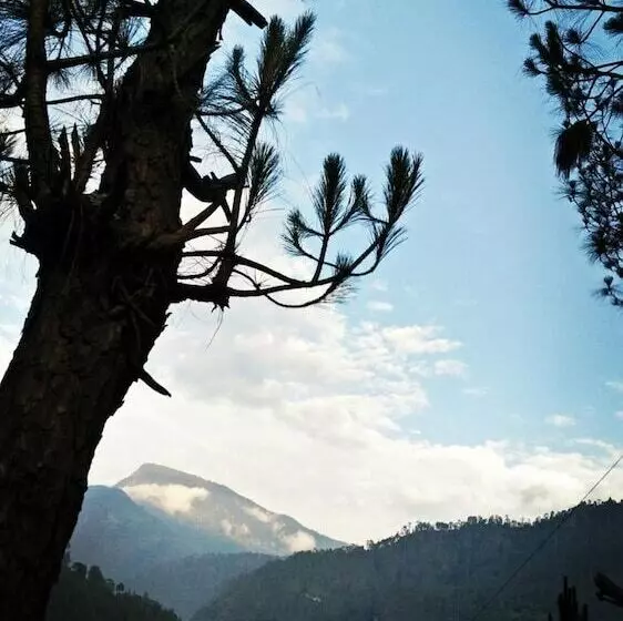 Hotelli The Devdwar Yoga Resort, Uttarkashi