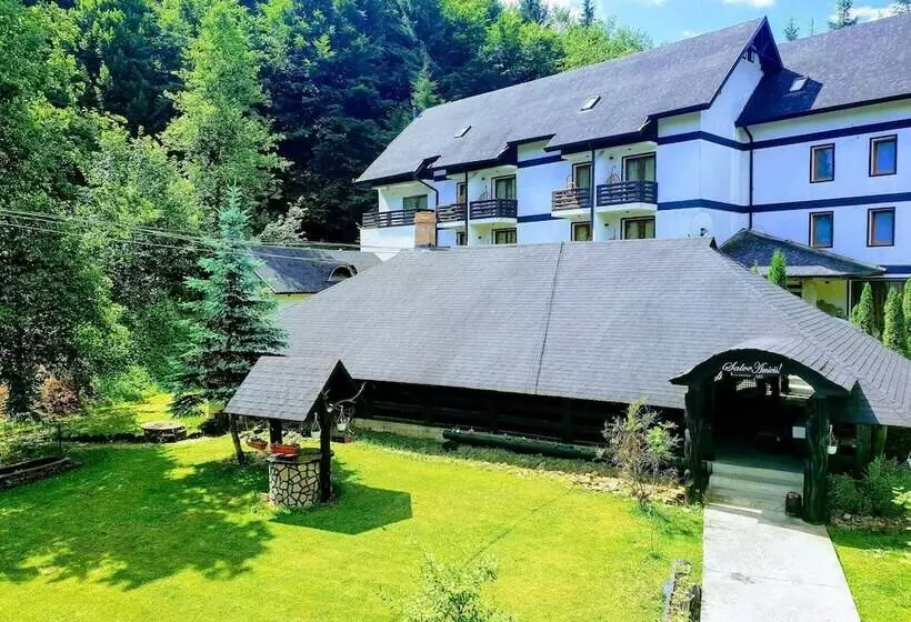 ペンション Casa Octavian