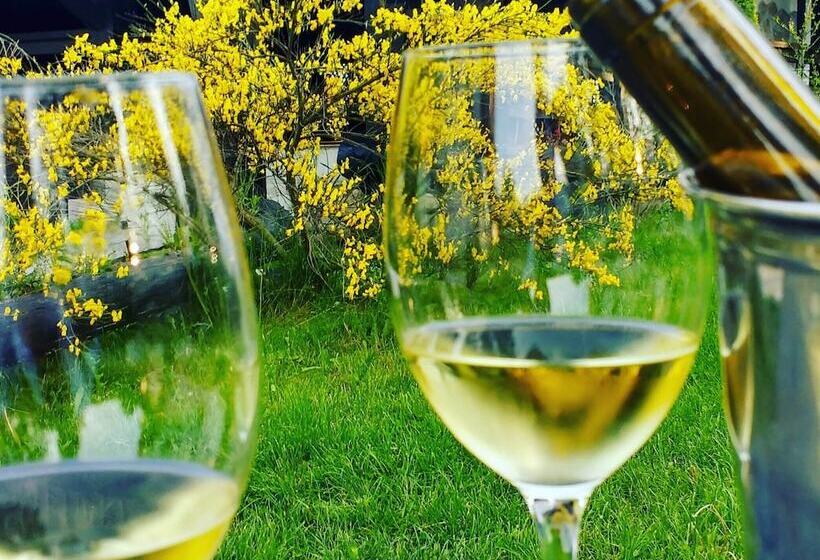 پانسیون Casa Octavian