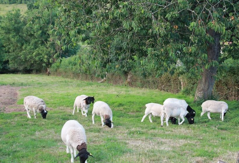 بنسيون Le Haut Mesnil 3