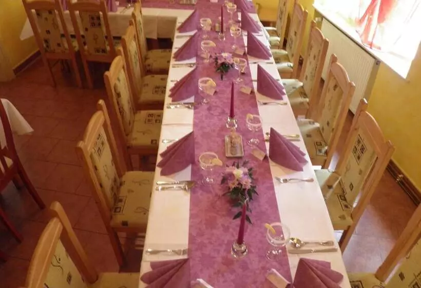 ペンション Penzion U Modrého Slona