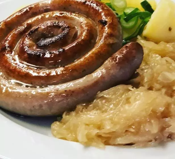 ペンション Penzion U Modrého Slona