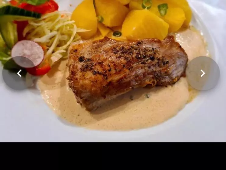 ペンション Penzion U Modrého Slona