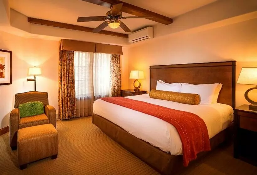 בית מלון כפרי Austria Haus