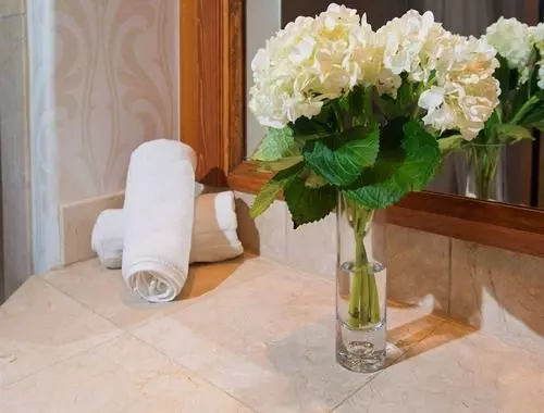 בית מלון כפרי Austria Haus