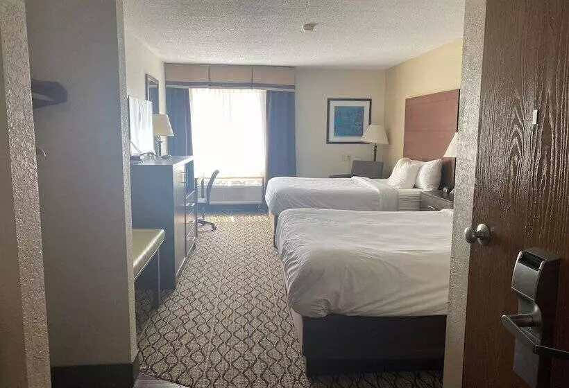 ホテル Baymont By Wyndham Auburn