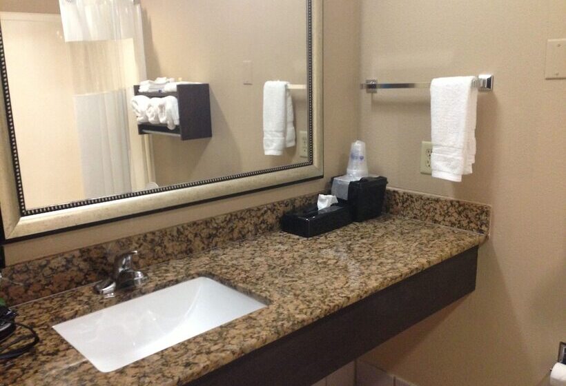 فندق Best Western Bayou Inn And Suites