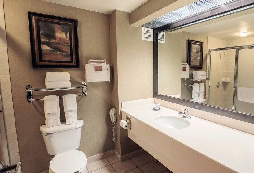 בית מלון כפרי Casino Queen