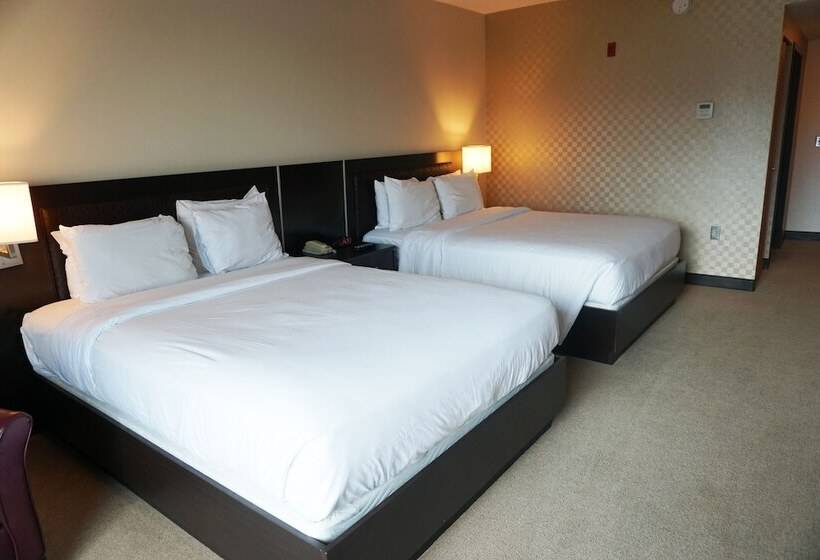 בית מלון כפרי Casino Queen