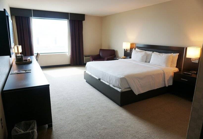 בית מלון כפרי Casino Queen