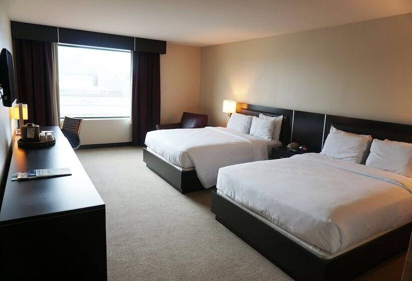 בית מלון כפרי Casino Queen