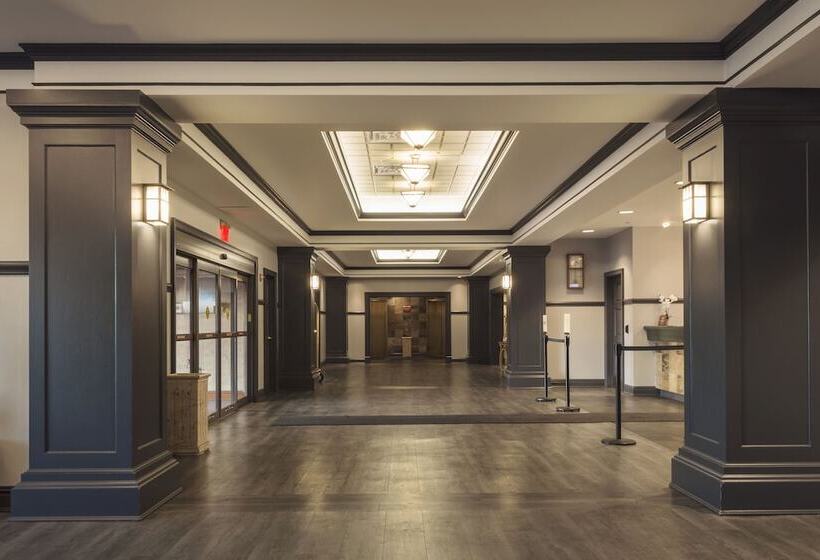 בית מלון כפרי Casino Queen