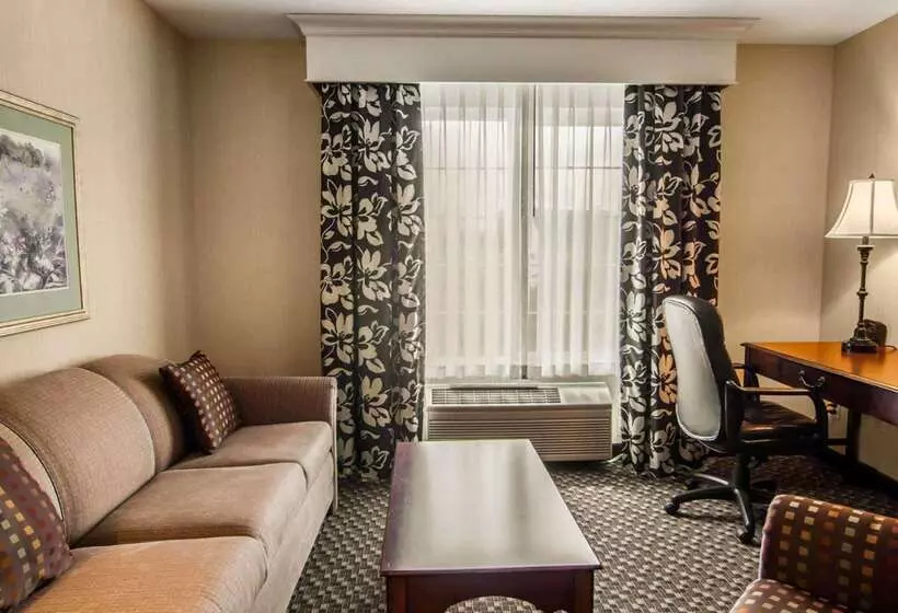 Отель Comfort Suites