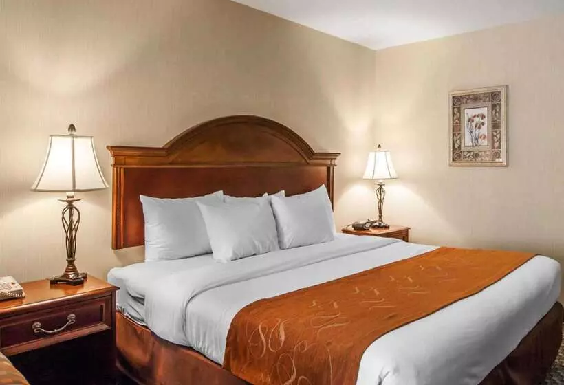 Отель Comfort Suites